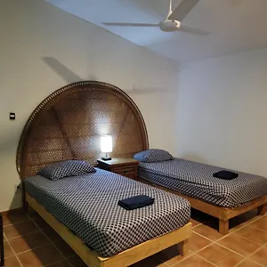 Venado-ocho Cancún